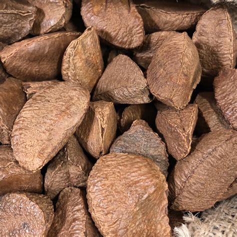Pics of brazil nuts new arrivals
