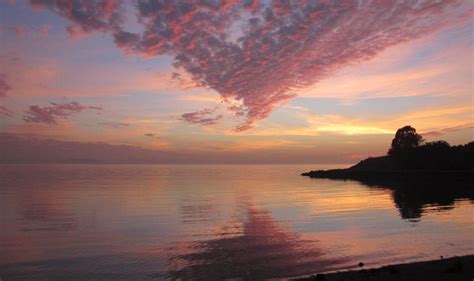Home - Citizens for East Shore Parks - Preserving the East Bay Shoreline