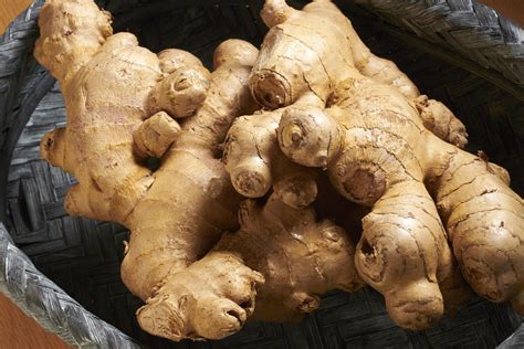 How To Grow Ginger Root - noc onq