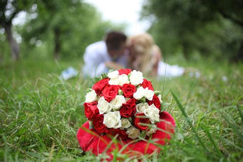 Boob+Kissing+Gif Photos, Download The BEST Free Boob+Kissing+Gif Stock ...