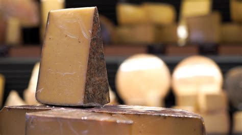 Say 'Cheese'! Six oldest cheese around the world - TRT Afrika