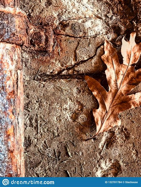 Chemical Fe2o3 Stock Photos - Free & Royalty-Free Stock Photos from ...