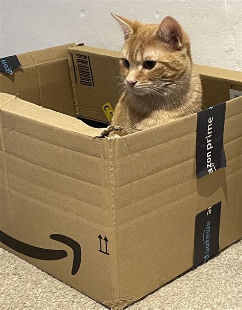 Handsome boy contemplating the meaning of life, the universe, and ...