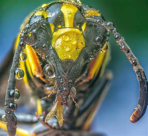 Big Tits Moms Photos, Download The BEST Free Big Tits Moms Stock Photos ...