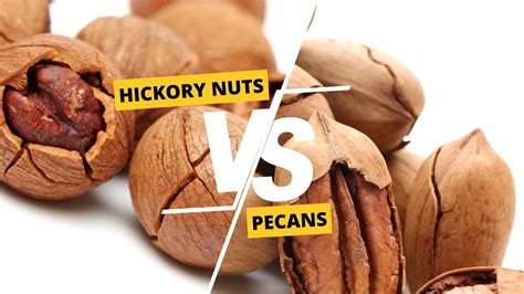 Peas vs Beans: Exploring the Differences in Taste and Texture ...