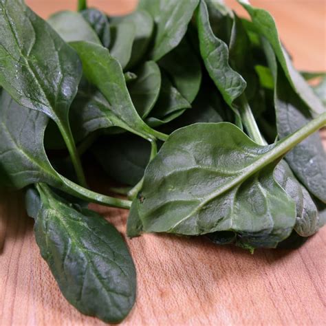 10 Tips To Keep Your Spinach Fresh: Does Spinach Go Bad?