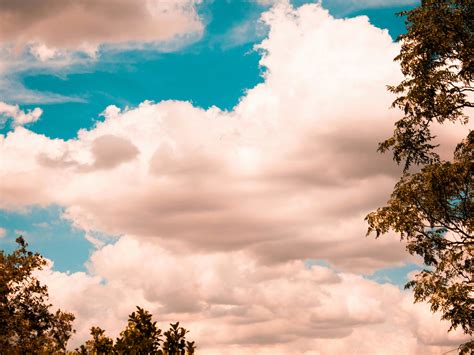 Clima hoy en Austin, Estados Unidos: el pronóstico del tiempo para este ...