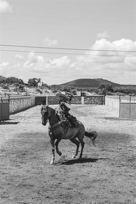 Mexican+Big+Ass Photos, Download The BEST Free Mexican+Big+Ass Stock ...