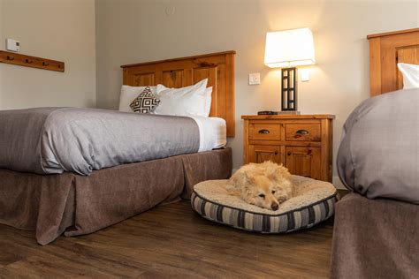 Pet Friendly Hotel in Osoyoos | Best Western PLUS Osoyoos Hotel & Suites