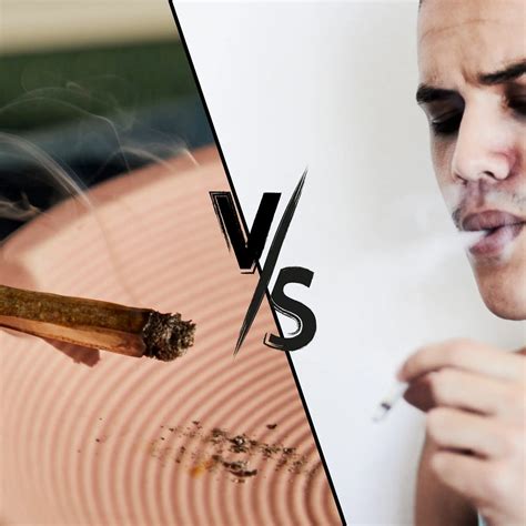 Blunts vs. Joints: Key Differences & How to Choose Yours