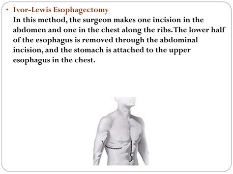 PPT - به نام خالق هستی PowerPoint Presentation, free download - ID:318638