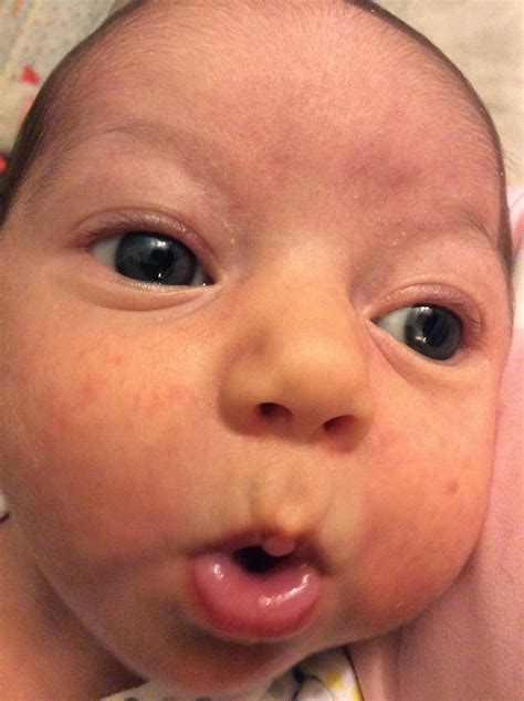 Dark Grey Eyes Newborn