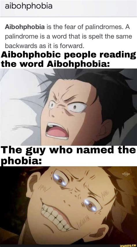 Aibohphobia Aibohphobia is the fear of palindromes. A palindrome is a ...
