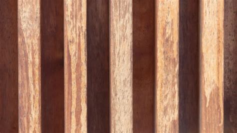 Elevate Your Space: Trendy Modern Hardwood Floor Colors - Blog