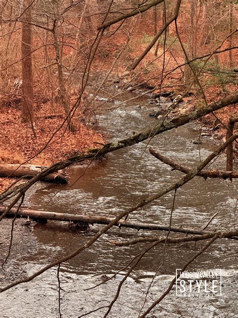 Black Creek Preserve: Where Hudson Valley’s Nature Meets Timeless ...