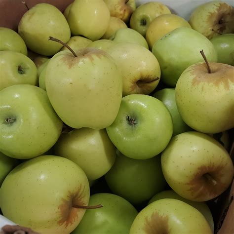 Golden Delicious Apples Information, Recipes and Facts
