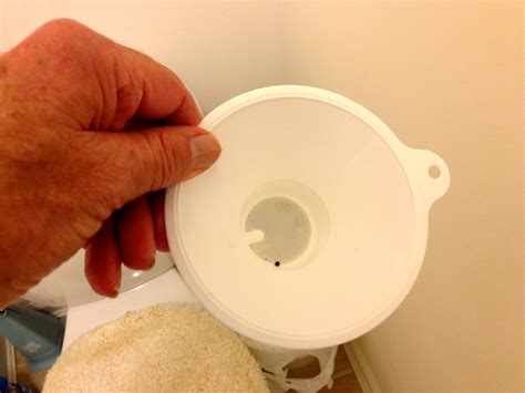 What Does A Kidney Stone Look Like In Toilet at Phyllis Alvarado blog