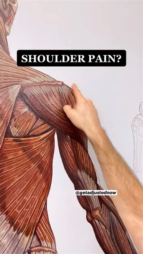 How to relieve shoulder pain – Artofit