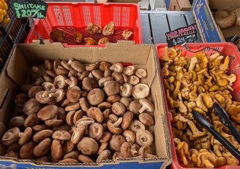 Fall in Love with Autumn at the Olympia Farmers Market - ThurstonTalk