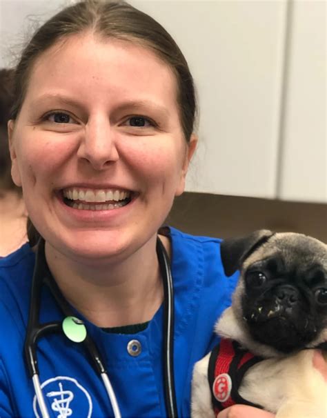 Marina Animal Clinic