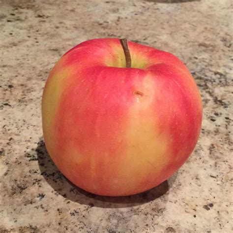 Large Honeycrisp Apple Nutrition Facts | Besto Blog