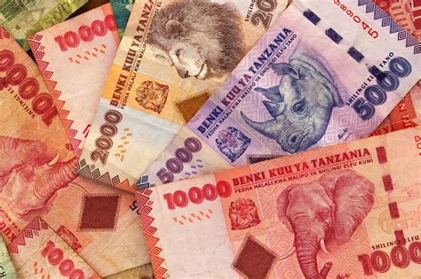 Everything About Tanzanian Shilling | Remitly