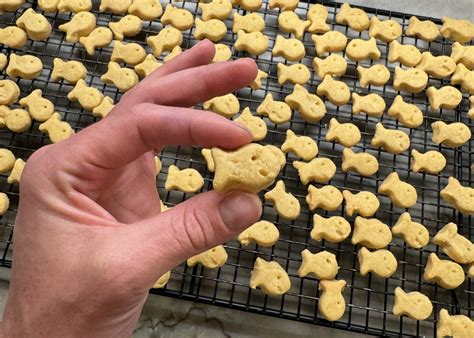 5-Ingredient Goldfish Cracker Snacks - The Weston A. Price Foundation