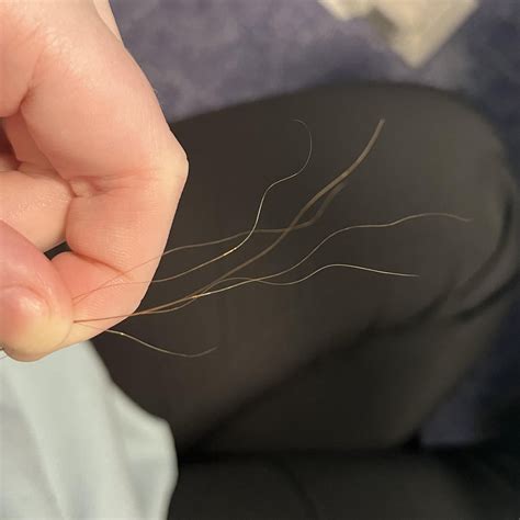 Weird wavy hair strands : r/Hair