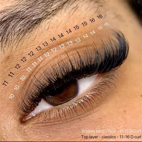 cat eye lash mapping | Lashes, Lashes fake eyelashes, Natural fake ...