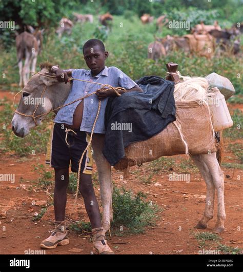 Young boy with his mule on La Gonave island in Haiti Stock Photo - Alamy