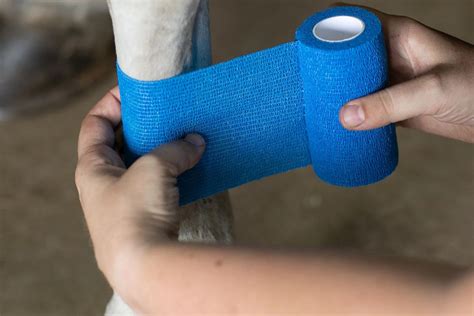 Cohesive Bandage: A Comprehensive Guide - GulfPhysio - UAE's Online Physiotherapy Store