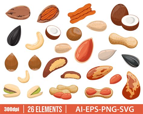 Free Nut Clipart