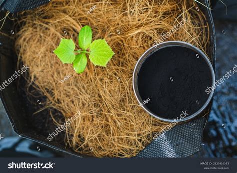 Fulvic Acid: Over 10 Royalty-Free Licensable Stock Photos | Shutterstock