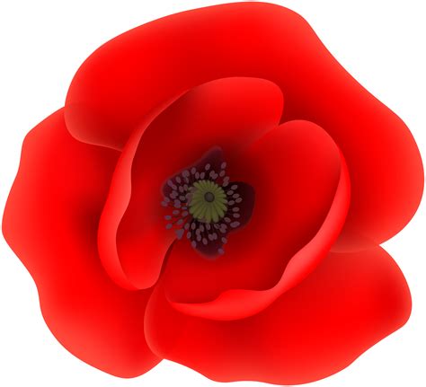 Free Poppy Clipart at Thomas Charlesworth blog