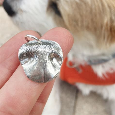 Are Dog Nose Prints Unique