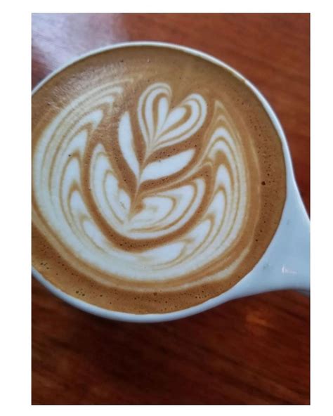 Panther Coffee - Coconut Grove - Great Locations