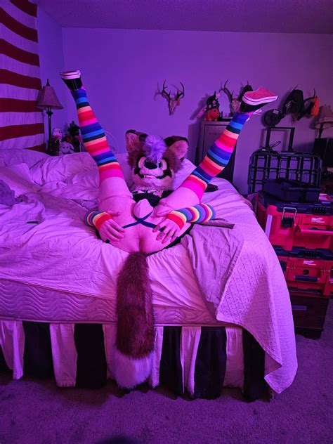 Femboy Yote needs the D baaad : r/fursuitsex