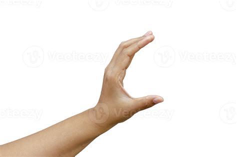 young woman hand holding something object on transparent background ...