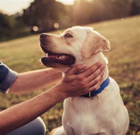 Personalization | Mahn Family Funeral Chapel