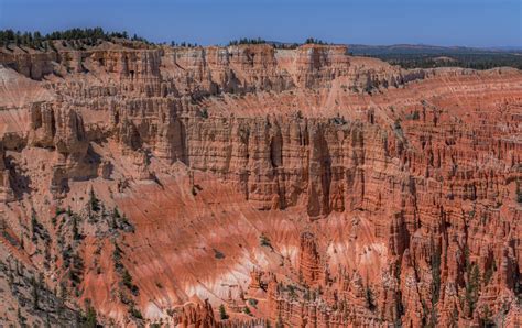 Are Dogs Allowed In Bryce National Park
