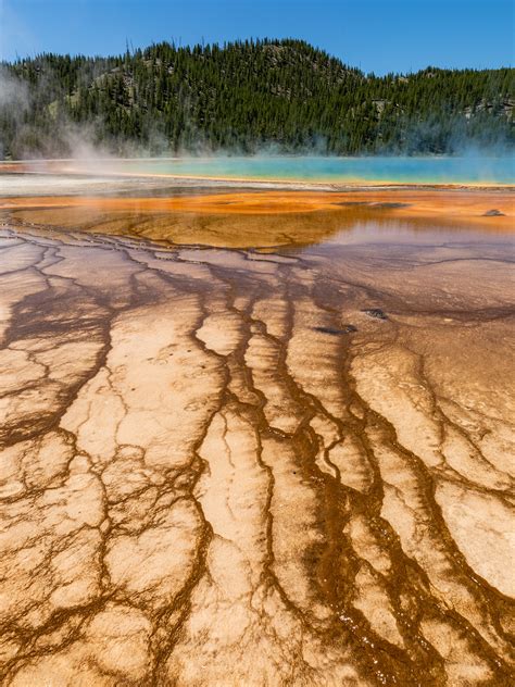 Portail:Parc national de Yellowstone — Wikipédia