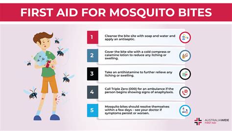 Bee Sting First Aid Infographic Remove Stock Vector, 60% OFF