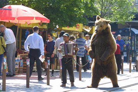 Dancing bear with trainer - Emerging Europe