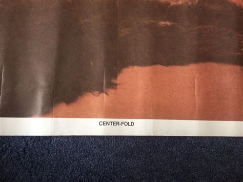 Burt Reynolds Bearskin Rug 1970s Original Nude Vintage Poster 35" X 23" | #1909330490