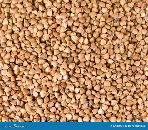 Multiple buckwheat seeds stock photo. Image of seed, abstract - 4298506