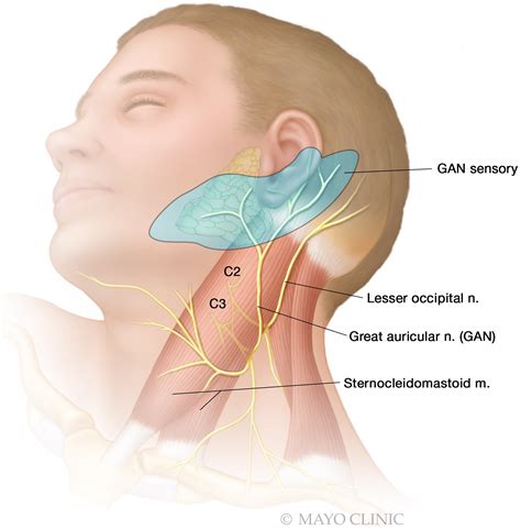 Posterior Auricular Nerve Block