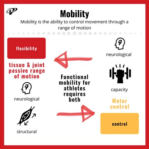 Mobility vs Flexibility: They Are Different And Why You Care - Velocity ...
