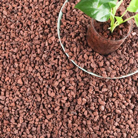Amazon.com : 18LB Red Lava Rocks for Plants, Volcanic Rock ...