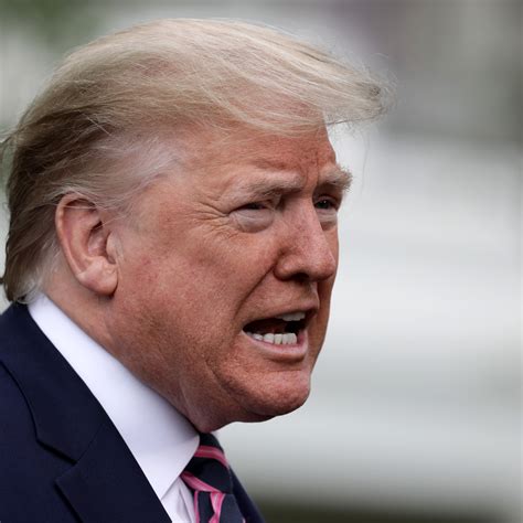 A Brief History of Trump’s Allies Calling Him an Idiot | Vanity Fair