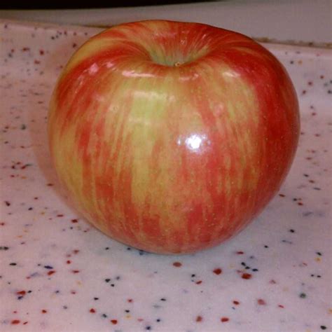 Large Honeycrisp Apple Nutrition Facts | Besto Blog
